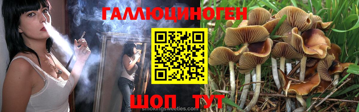 Орехово-Зуево  Галлюциногенные грибы MAGIC MUSHROOMS  Вход с VPN  Псилоцибиновые грибы ЛСД 